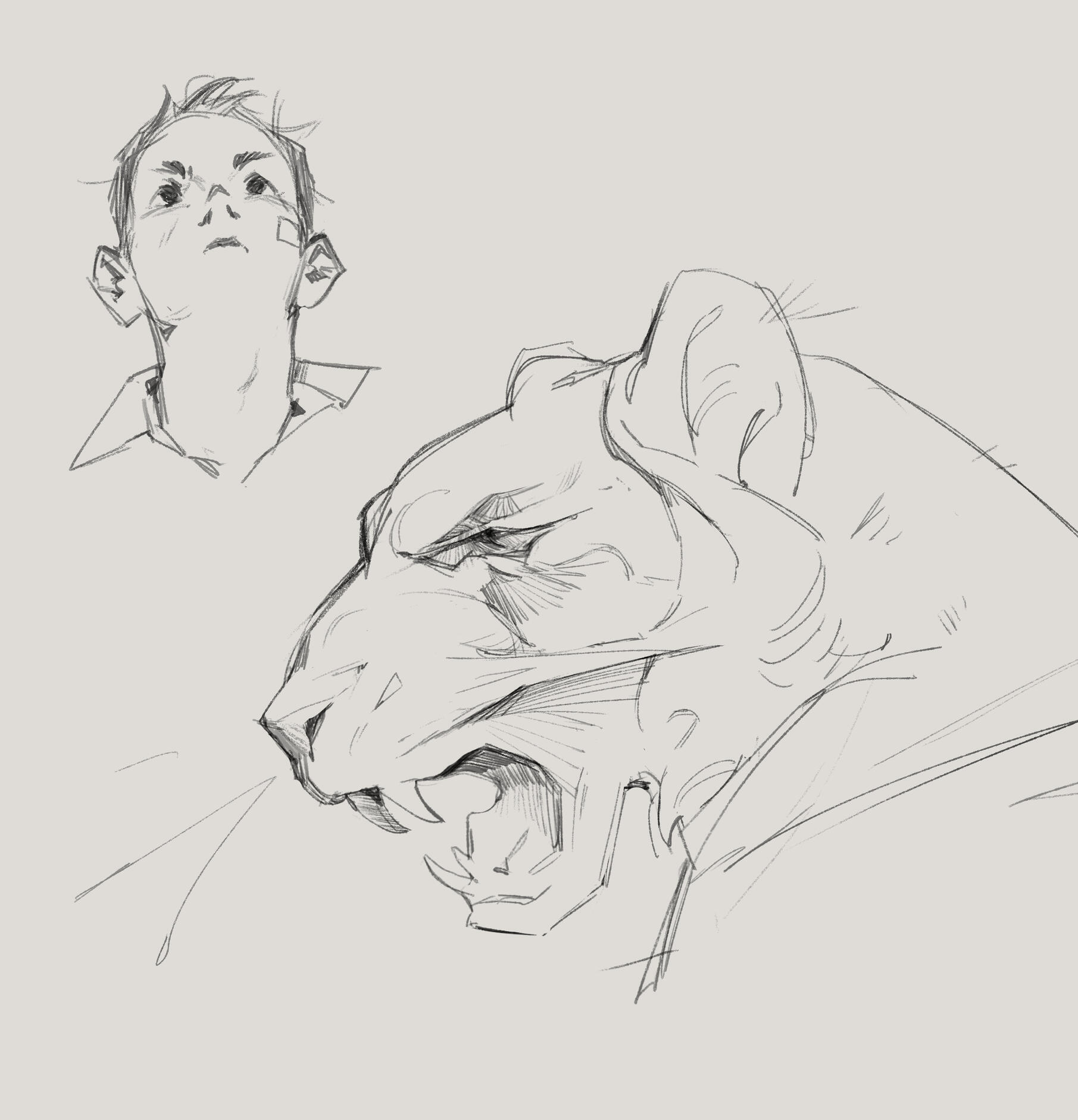 Line warmup