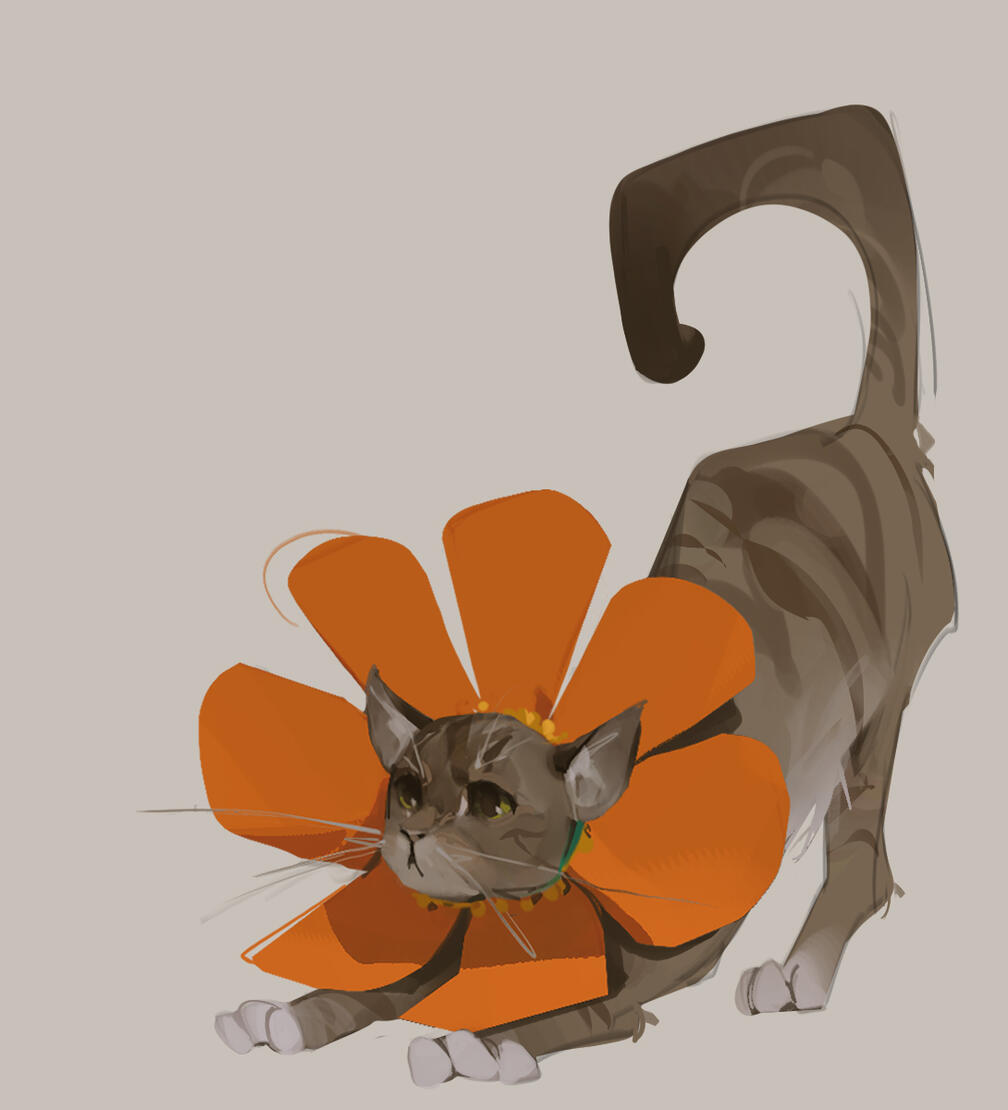 Flower cat